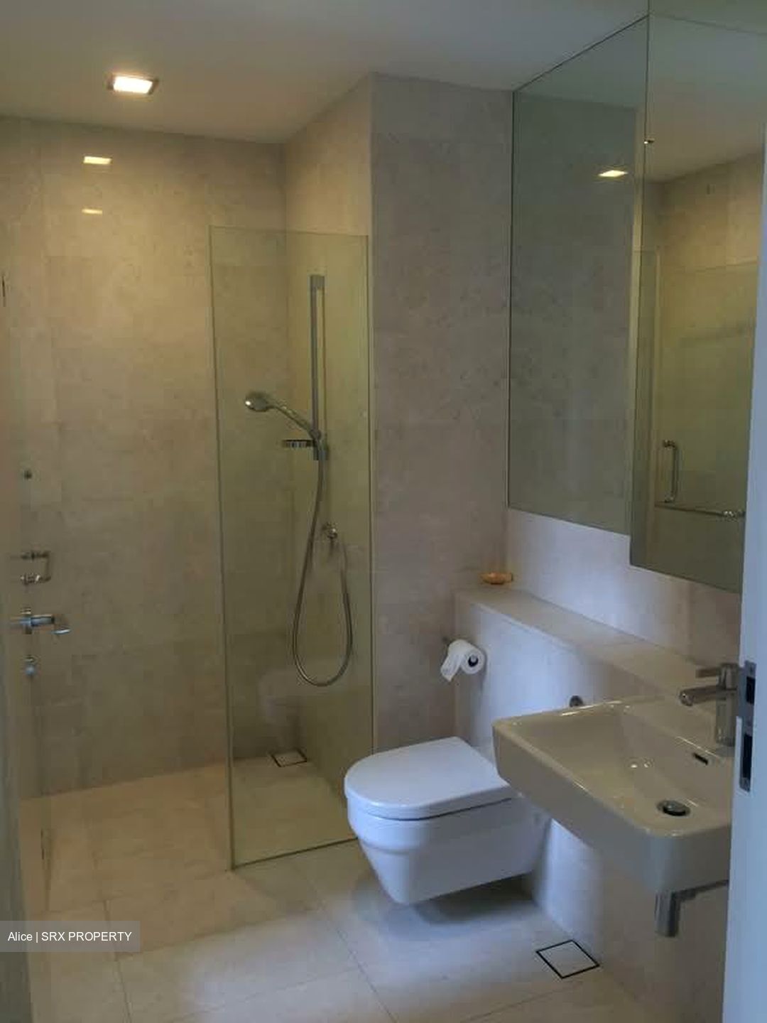 Trilight (D11), Condominium #572770031